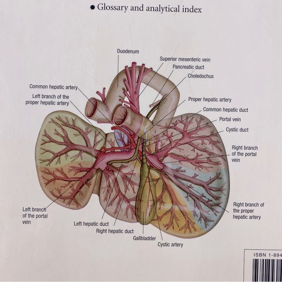 Vintage Atlas of Anatomy Hard Cover Book - Picture 4 of 14